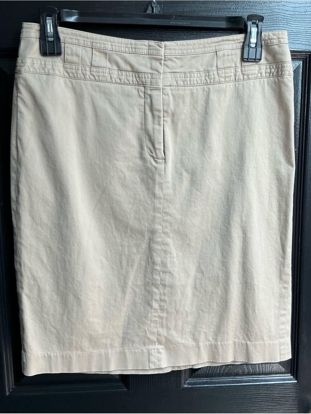 Classic Women's Light Tan Straight Skirt
